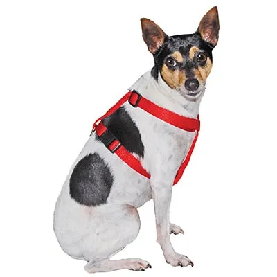 5/8"W x 14"-20"L Adjustable Nylon Dog Harness