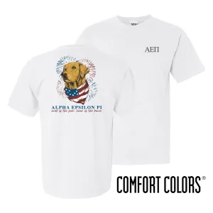 AEPi Comfort Colors USA Retriever Tee