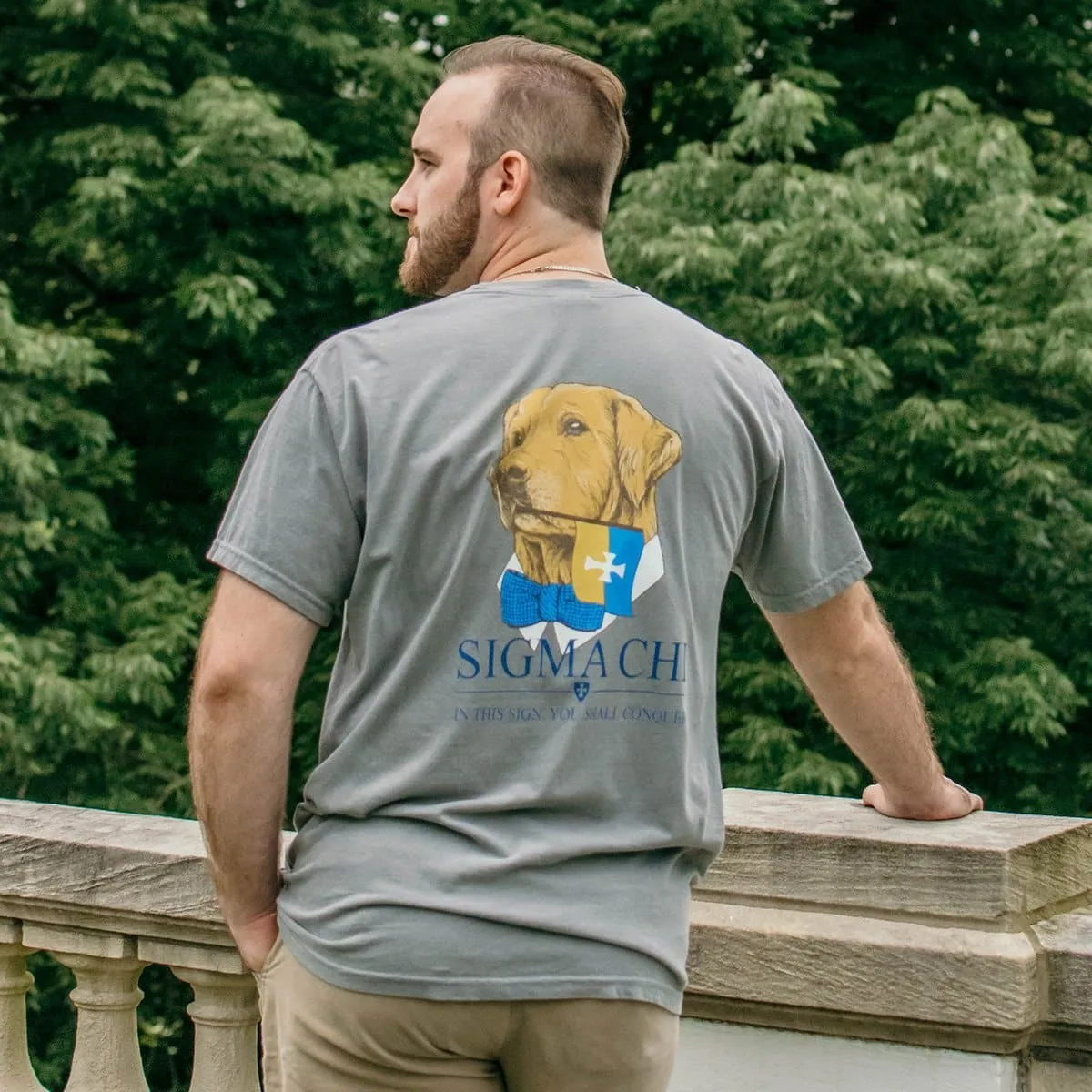 ATO Comfort Colors Retriever Flag Tee