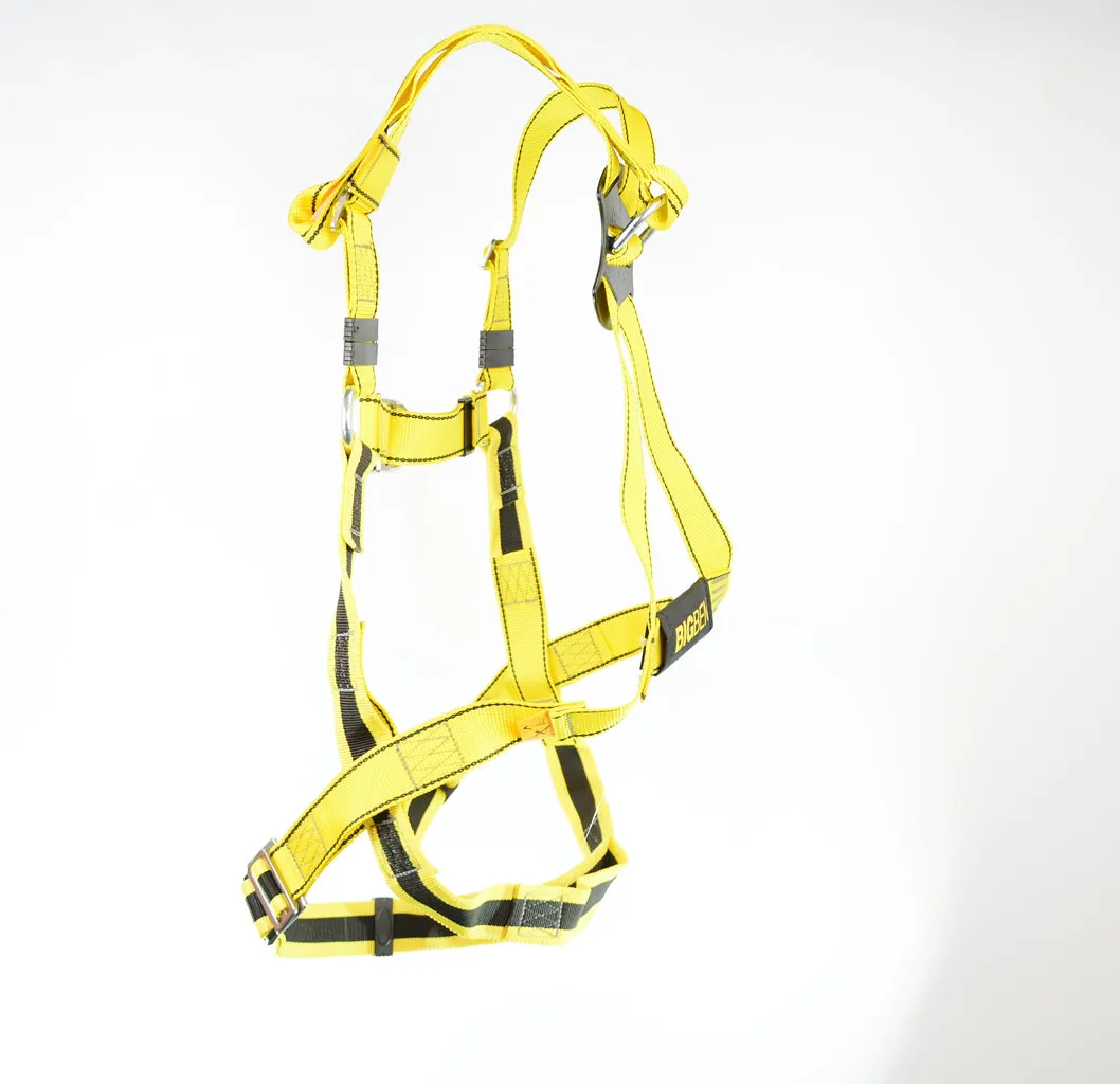 BIGBEN® Deluxe 2 Point Safety Harness