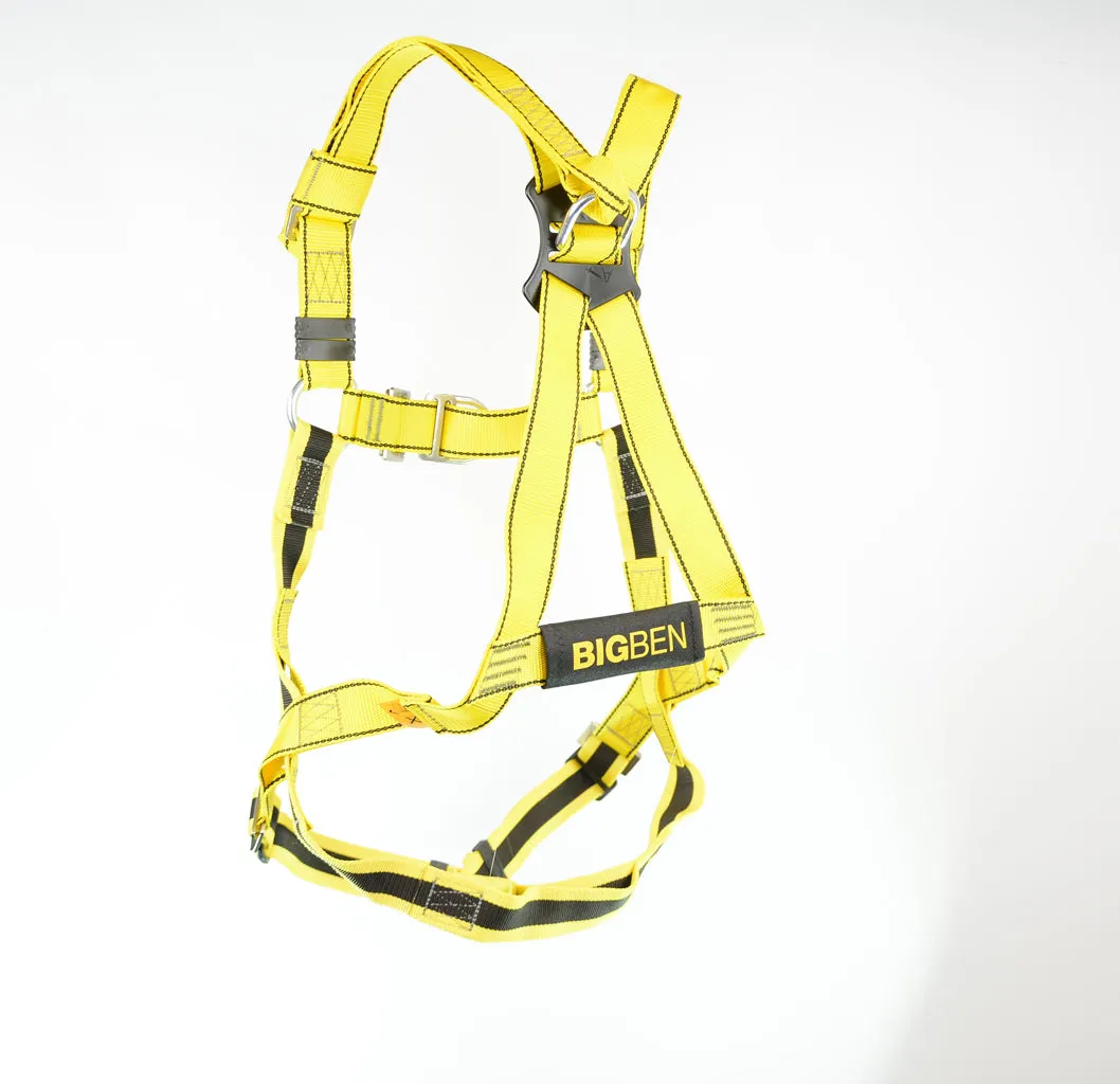 BIGBEN® Deluxe 2 Point Safety Harness