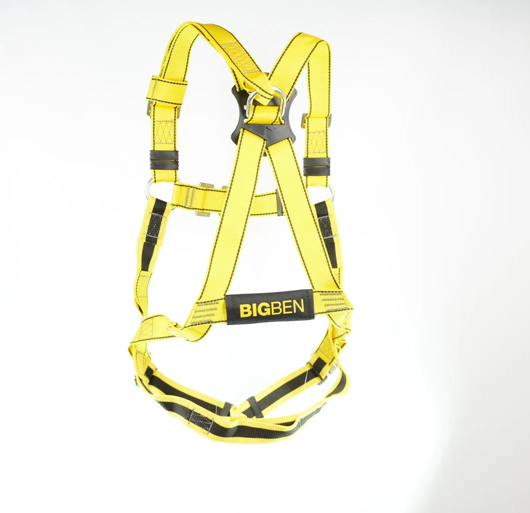 BIGBEN® Deluxe 2 Point Safety Harness