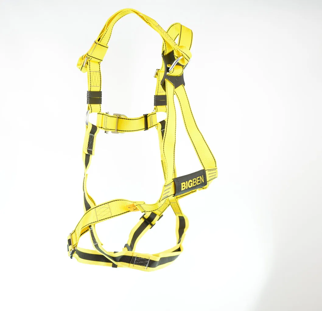 BIGBEN® Deluxe 2 Point Safety Harness