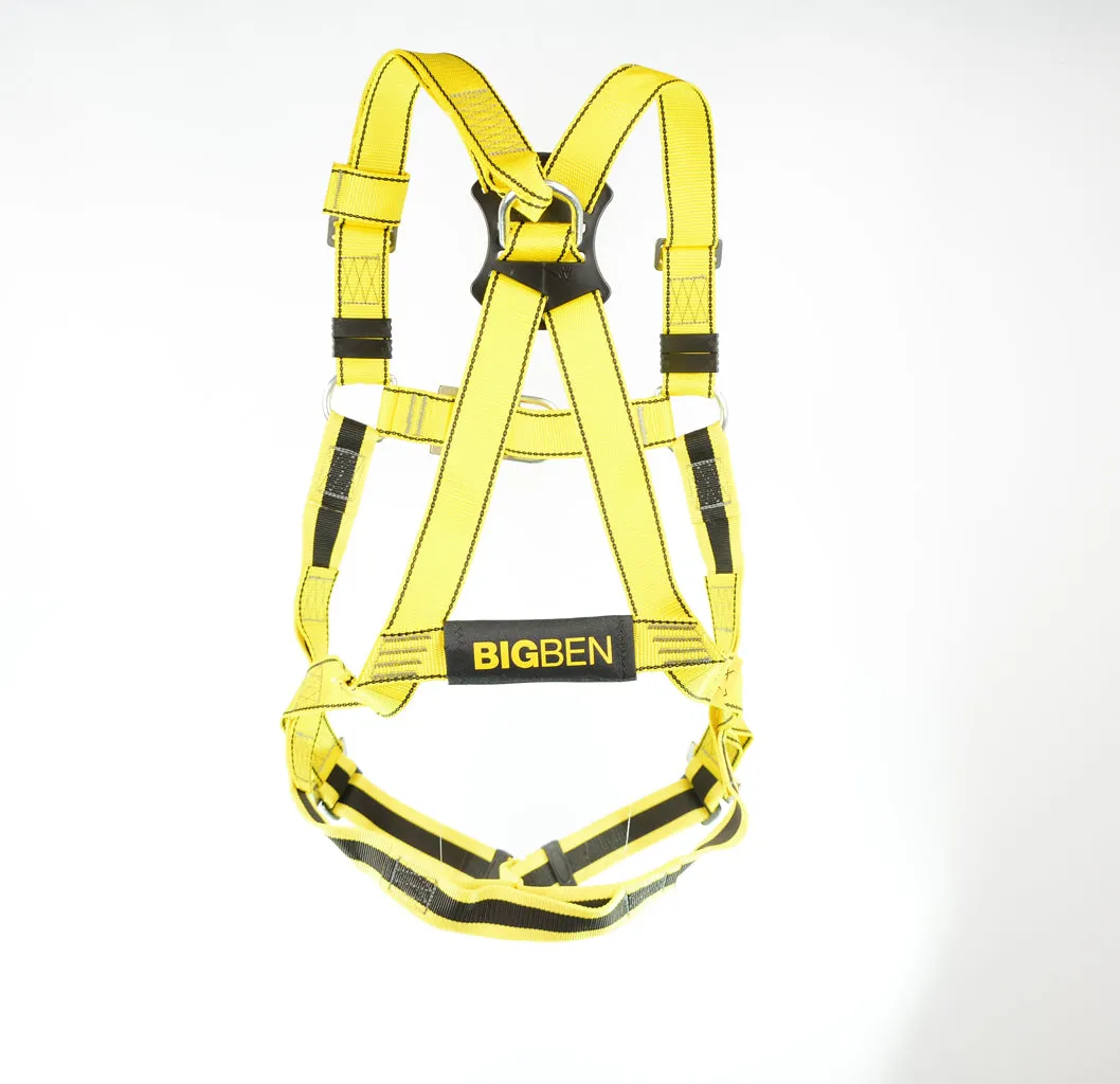 BIGBEN® Deluxe 2 Point Safety Harness