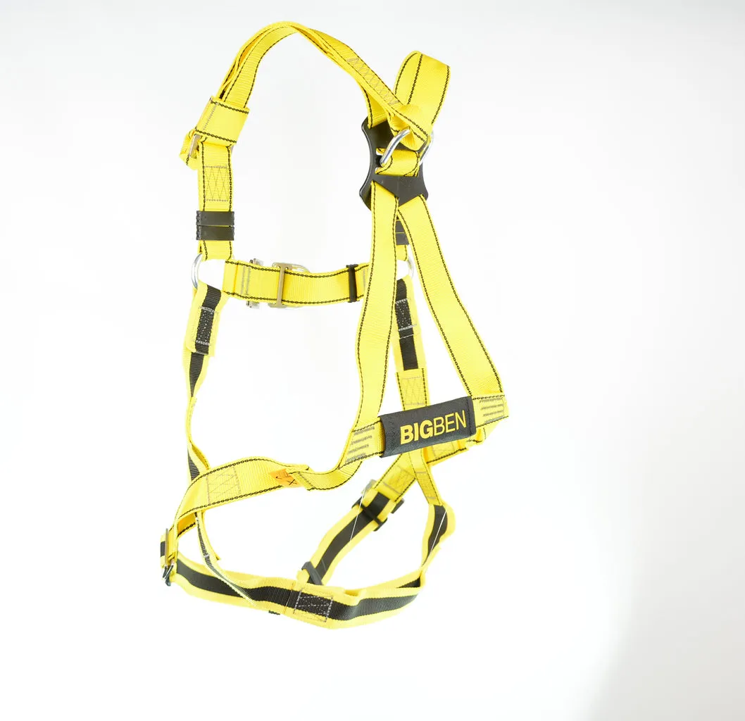 BIGBEN® Deluxe 2 Point Safety Harness