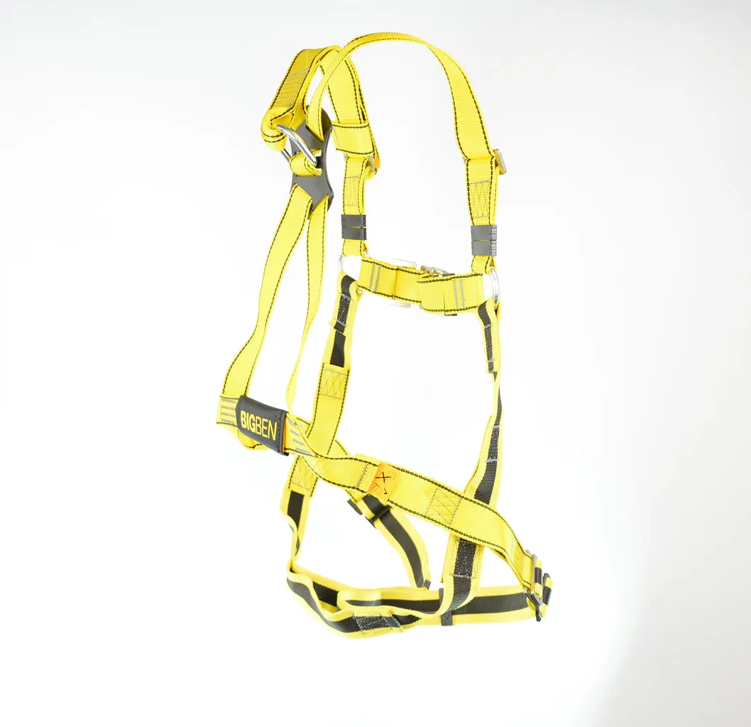 BIGBEN® Deluxe 2 Point Safety Harness