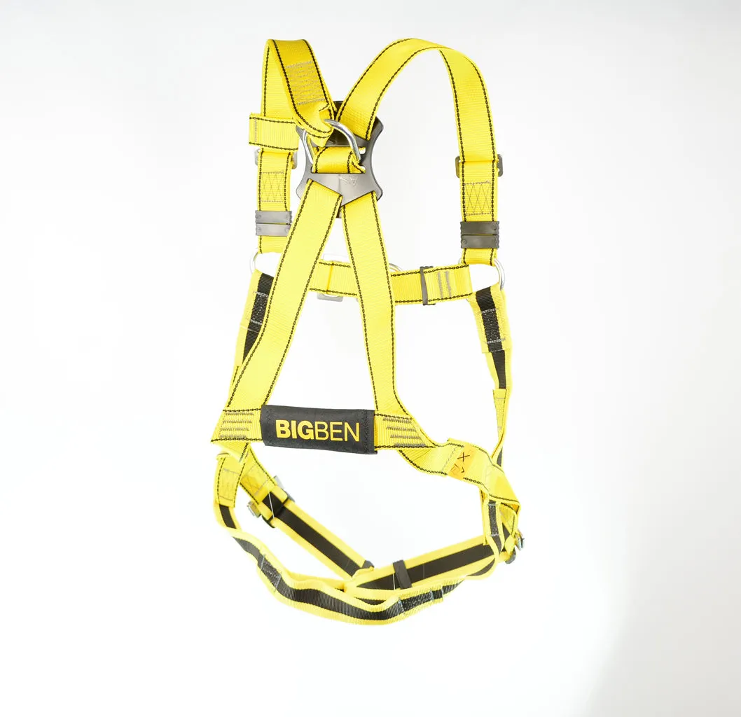 BIGBEN® Deluxe 2 Point Safety Harness