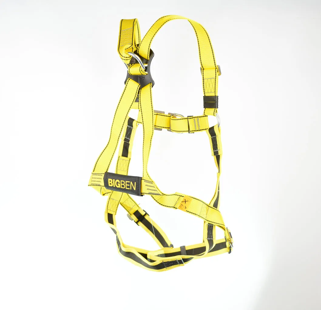 BIGBEN® Deluxe 2 Point Safety Harness