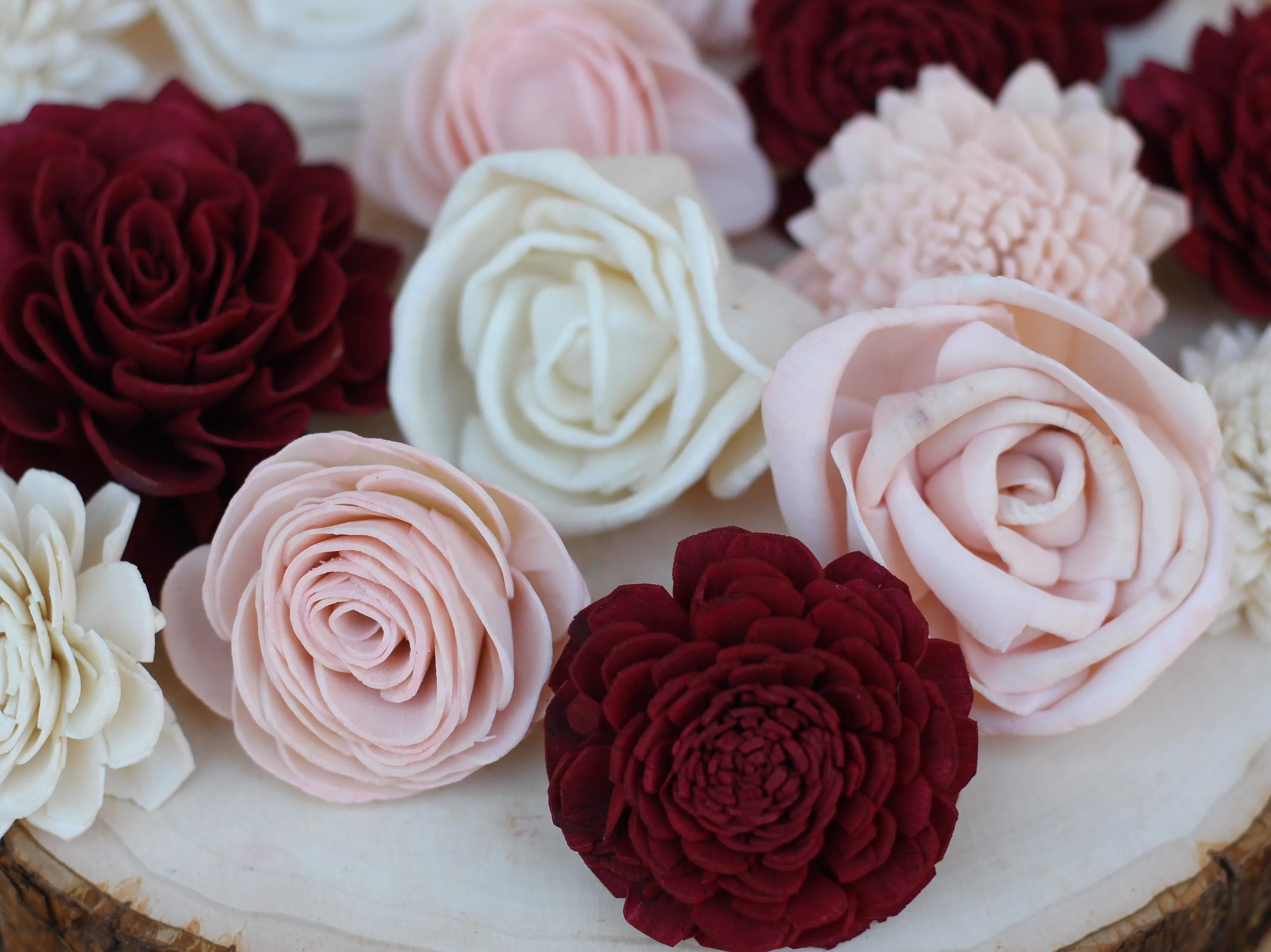 Burgundy/Marsala, Blush and White Mixed Assorted Sola Wood Flowers