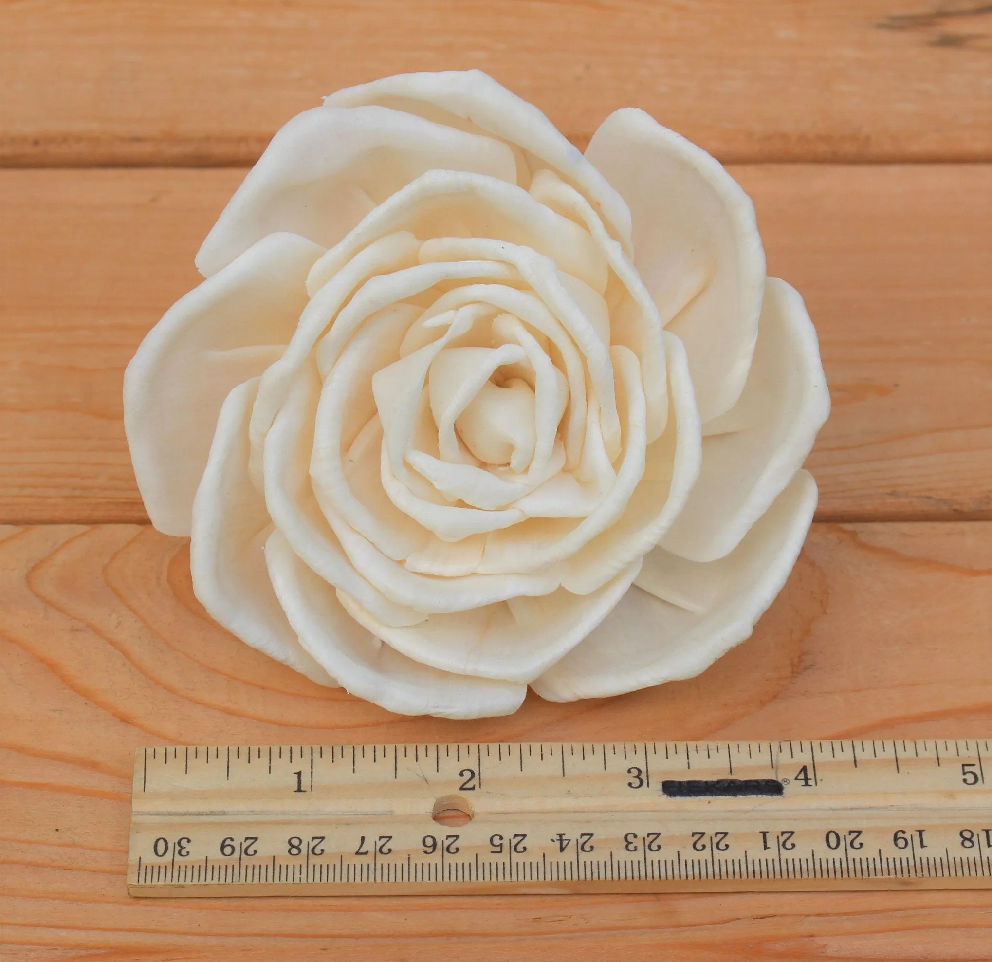 Large  4" Sola Wood Enchantment Roses