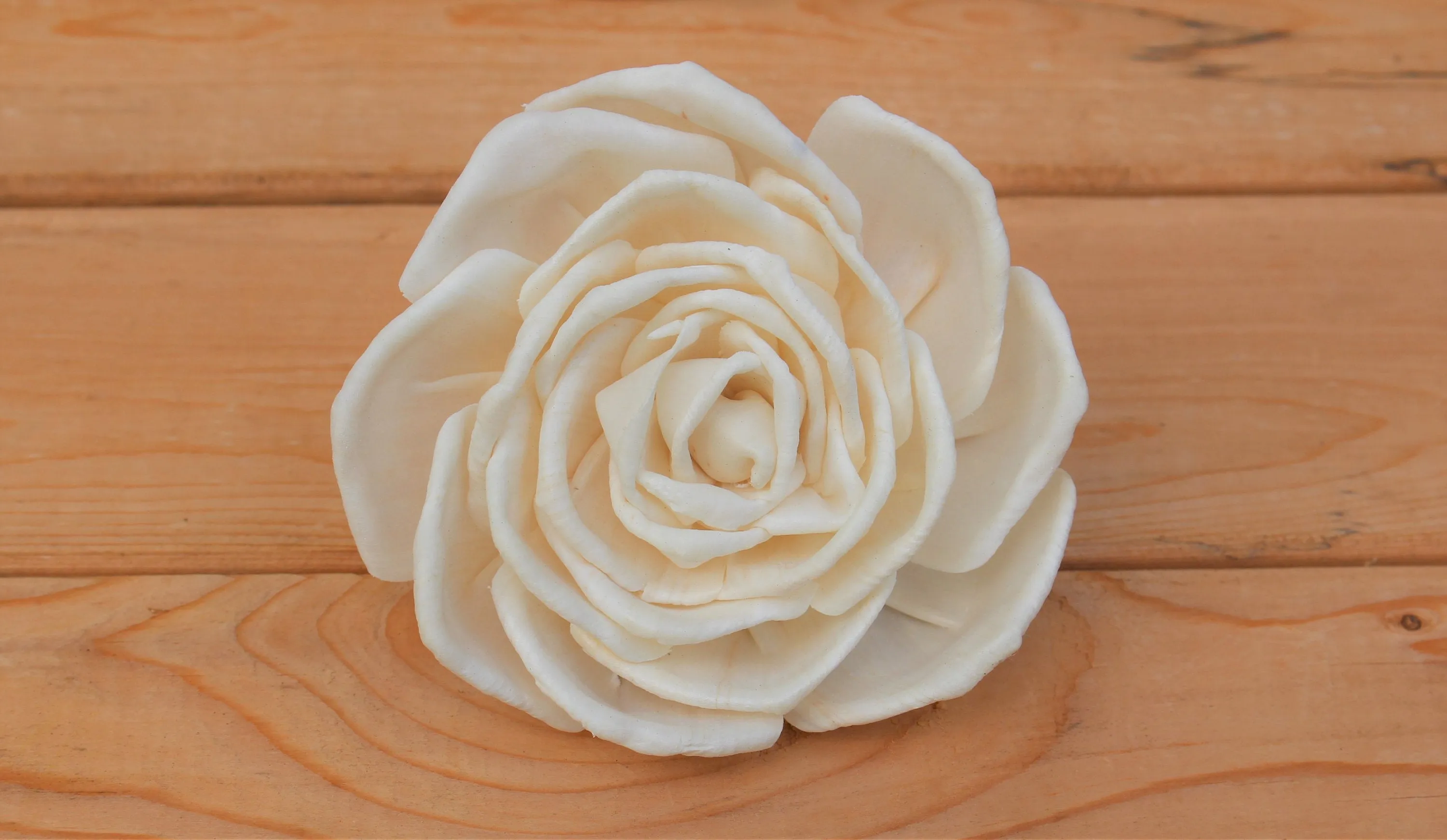 Large  4" Sola Wood Enchantment Roses