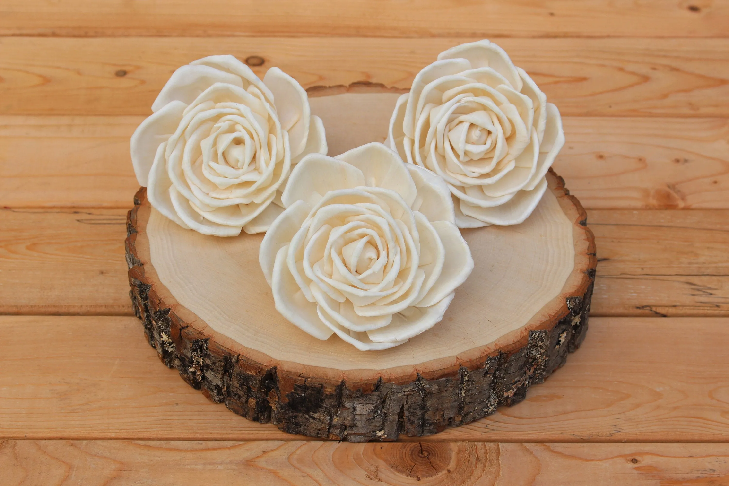 Large  4" Sola Wood Enchantment Roses