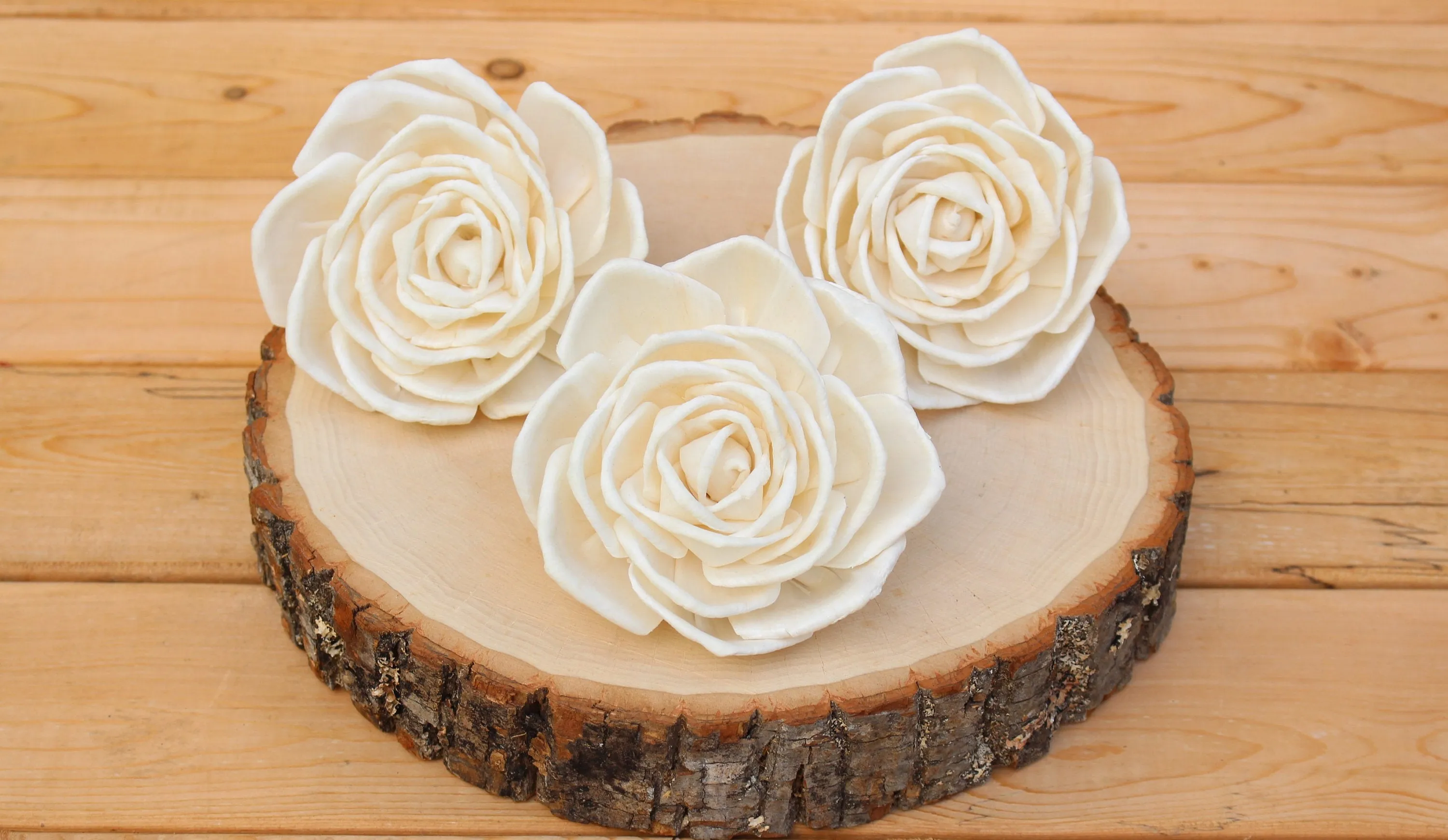 Large  4" Sola Wood Enchantment Roses