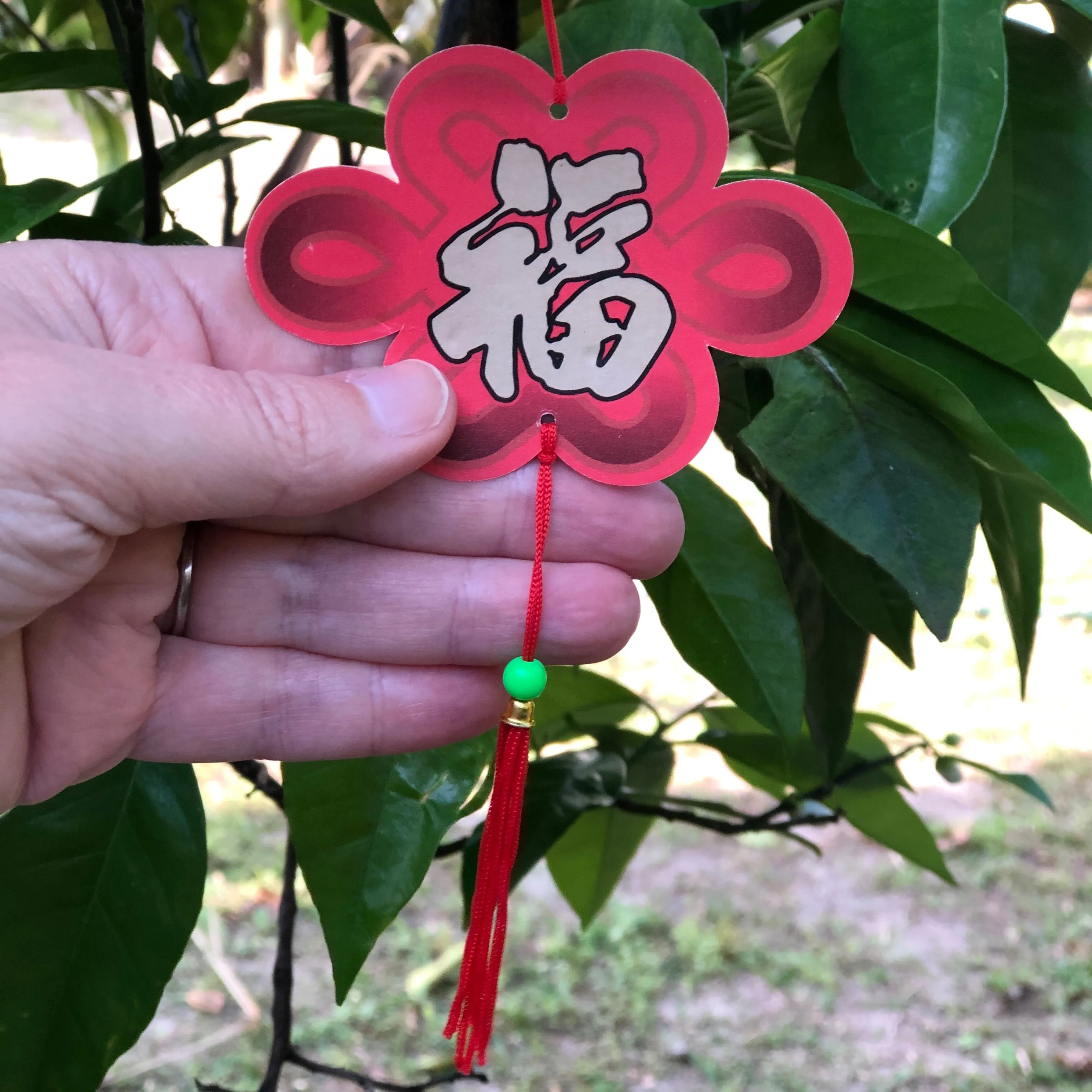 Large Red Chinese Prosperity Lanterns - Pack of 12