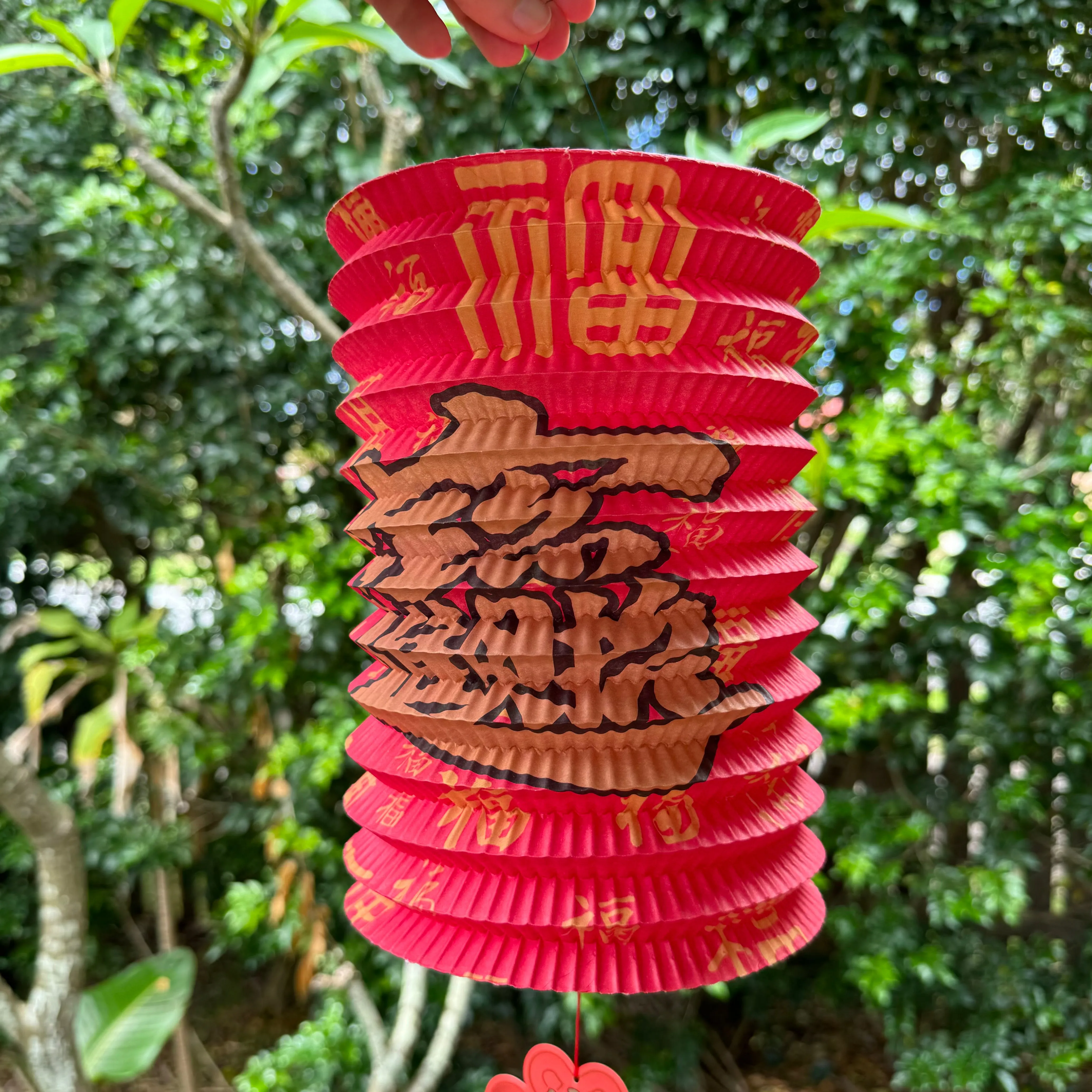 Large Red Chinese Prosperity Lanterns - Pack of 12