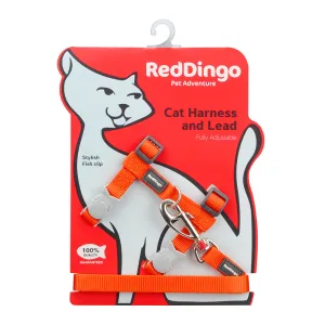 Red Dingo Cat Harness & Lead Combo Orange